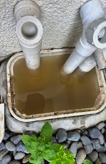 https://plumberleederville.com.au/uploads/2025/06/blocked-drains-912576.jpg